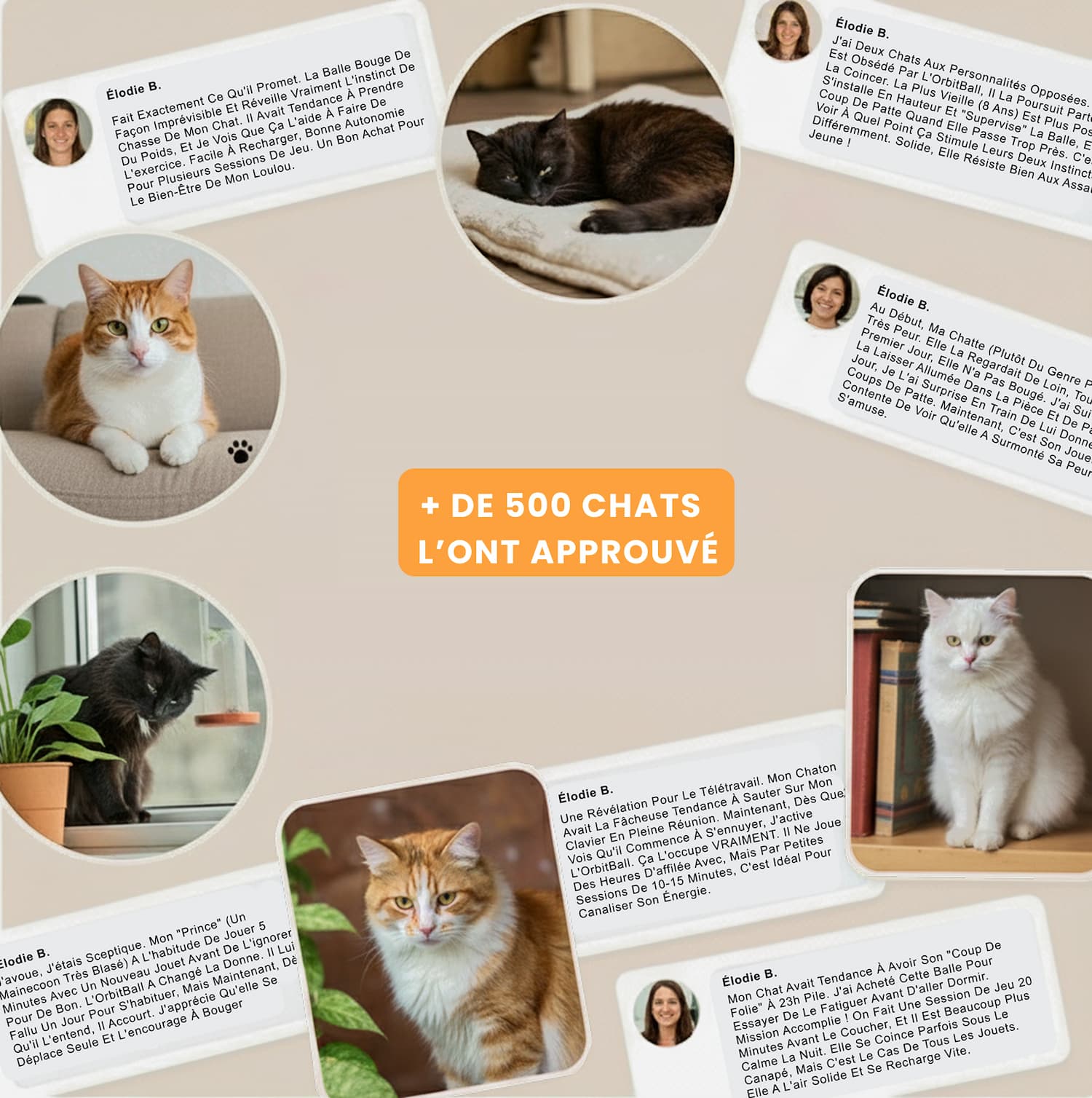 Avis clients vérifiés et photos de chats utilisant la balle Orbitball approuvée par plus de 500 propriétaires.
