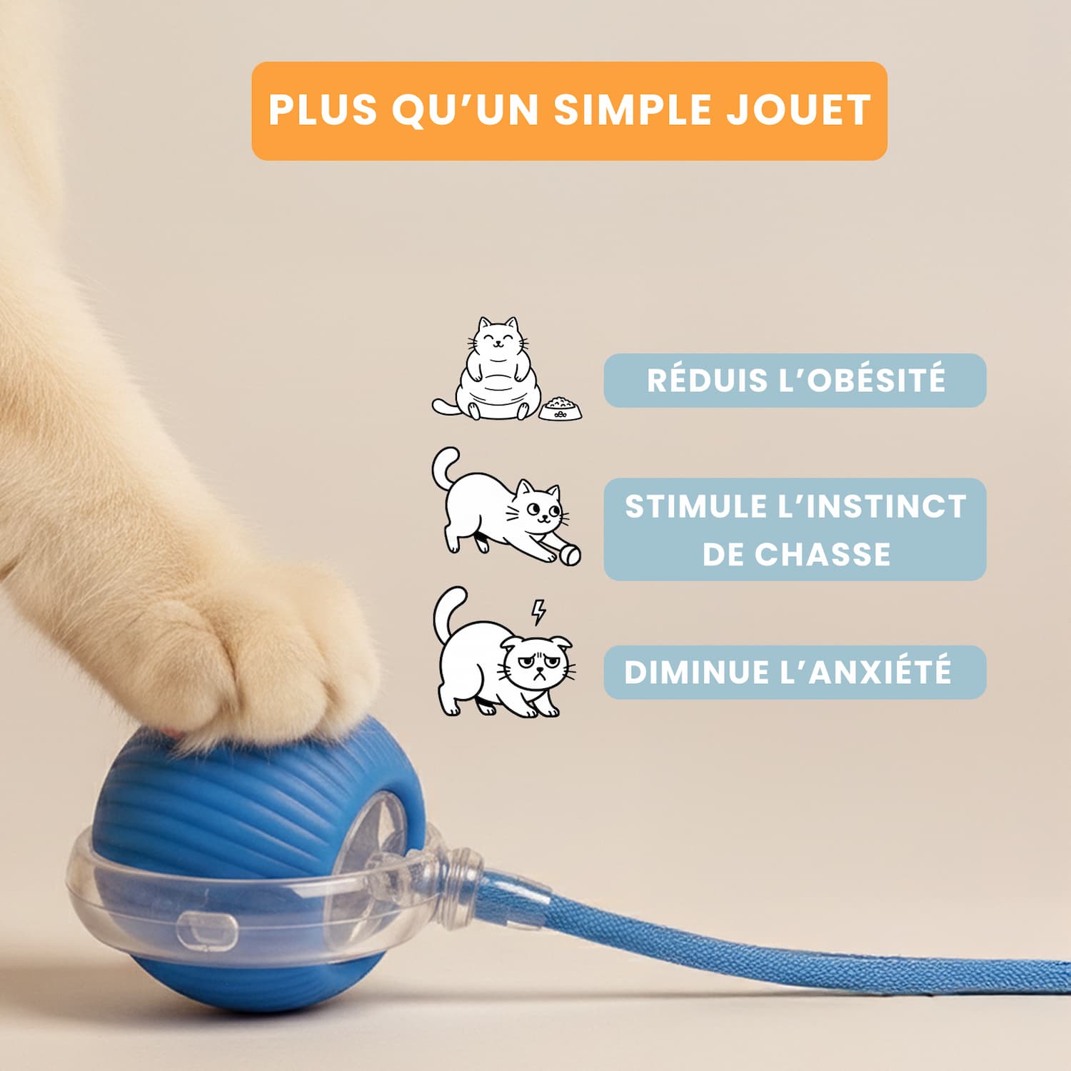 Les 3 bienfaits santé de l'Orbitball : réduit l'obésité féline, diminue l'anxiété et stimule l'instinct naturel de chasse.